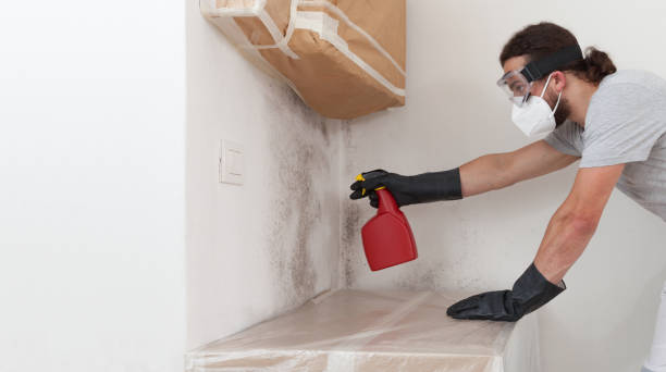 Professional Mold Inspection technician working in Hightstown, NJ