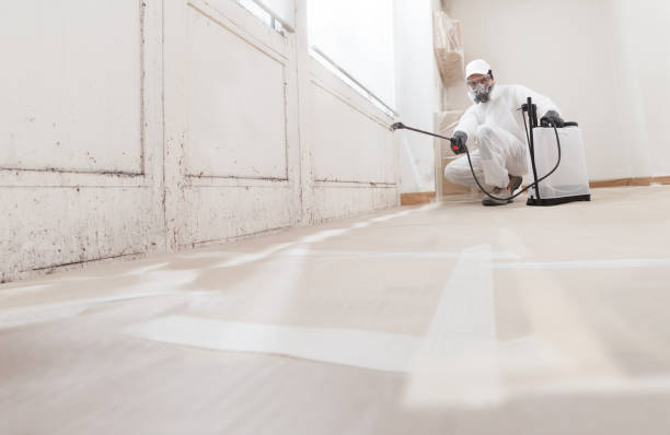 24/7 Emergency Mold Inspection experts in Hightstown, NJ